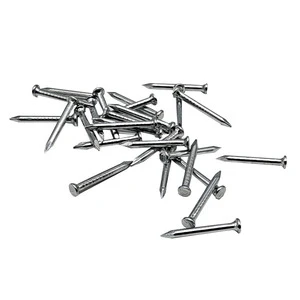 High Quality Small Tiny Steel Nail Nail Concrete Nail