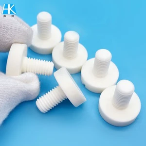 High End Customized Size M2 M3 M8 M12 M18 High Hardness Alumina Ceramic Slotted Screw
