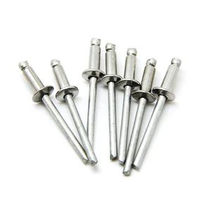 Supplier Open-End Pop Blind Rivets Rivet 2.4mm 3.2mm 4.0mm 4.8mm 6.4mm Blind Rivet Aluminium