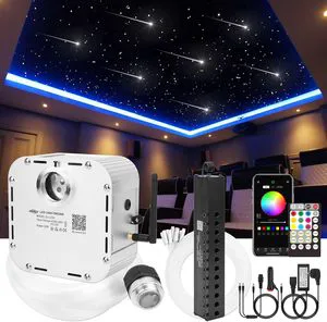 RSPOF Twinkle Shooting Starlight LED 32W Optic Fiber Lighting Kit RGBW 1000Pieces*0.75mm APP Remote Control for Home/Car