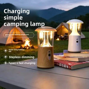 Portable Outdoor Tungsten Filament Camping Light Multifunctional Rechargeable LED Camping Lamp with Long Endurance Lighting