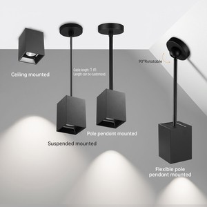ETL CE RCM Master B Series High-quality 15W 20W 30W LED Hanging Pendant Light 3000K Aluminium Downlight Cable Hotel 5-Year