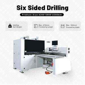 ZICAR Wood CNC 6-Sided Drilling Center Automatic Boring Machine for Panel Furniture and Frameworks