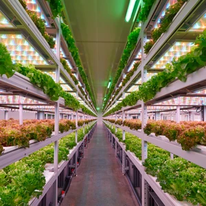 App-Tunable LED Grow Light Lettuce / Strawberry / Tomato Higher Yield Lighting in Extreme Climates -10°C to 40°C
