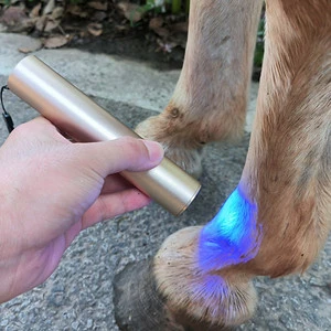 Customized OEM 5 Wavelengths Red Light Torch Near Infrared Red Light Therapy Pen Infrared Light Vet Therapy For Horses