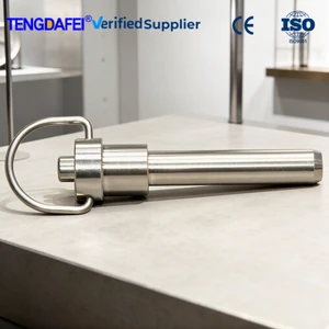 Anti-Corrosion Stainless Steel Pull Ring Quick Pin, Preferential Bulk Price With Free Lanyard Option For Parts Quick Release Pin