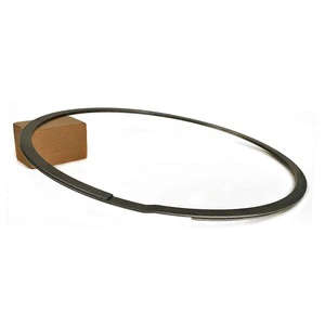 Sandingsheng Customized Spring Steel Flat Wire Double Turn Spiral Retaining Ring