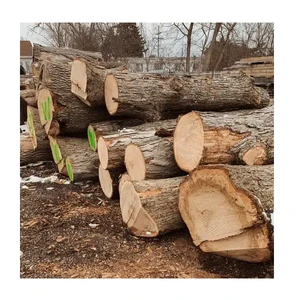 Original Oak Timber LOGS | Oak Wood Round Logs At Cheap Wholesale Price