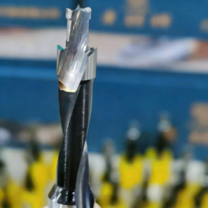 TOOLSWANG Deep Well Carbide Drill Bits Woodworking Center Boring Bits OEM Supported for Wood Drilling