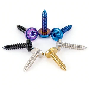 Factory Direct Sales GR5 Titanium Surgical Self-tapping Screw M5 M6 M8 M10 X1.5 Screws Allen Titanium Screws