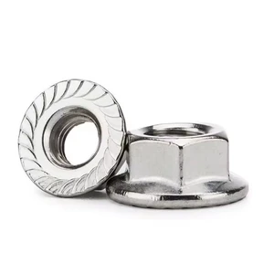 Factory Supplied Heavy Industry Galvanized Hex Flange Nut for Sale Industry