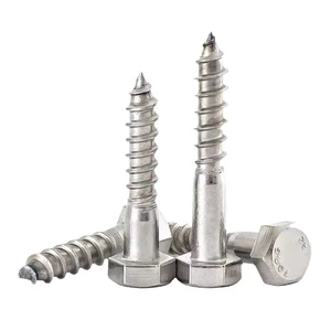 Manufacturer A2-70 Stainless Steel Class 4 Fastener M6 M8 M10 M12 M14 M16 M18 Hexagon Head Wood Screws