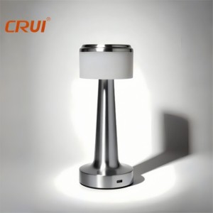 Rechargeable Cordless Table Lamp 3 Levels Brightness Small Touch Table Lamp Bedside Night Light for Bedchamber