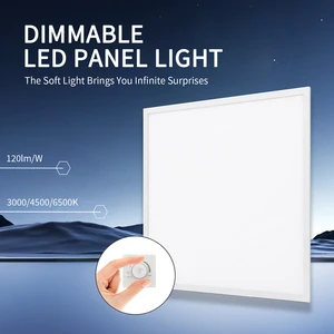 Square 60*60cm 0-10V Dimmable LED Panel Light Ceiling Light 2*2 Feet 36W 40W 48W Recessed Backlit For Office Lighting