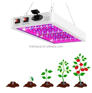 Led Grow Light Plant Lamp 1000W With Full Spectrum Growing Lamps for Indoor Plants Greenhouse Garden Flower Fruit Double Switch