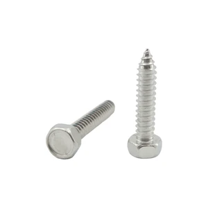 SELF-TAPPING SCREW HEX HEAD DIN7976 Stainless Steel Customized Screws