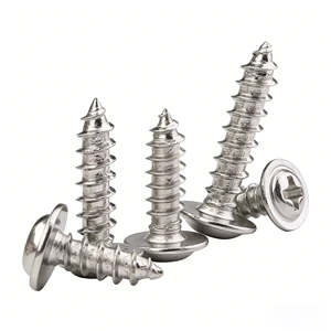 China Metric Metal Self Tapping Screws Custom M1.4 M2 M3 M4 M5 M6