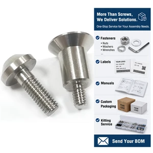 Stainless Steel 304/316 Countersunk Shoulder Screws Flat Head Step Screws for Furniture & Equipment Assembly