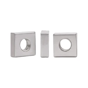 Carbon Steel Galvanized Square Nut M3*5.5*2 Size Standard Non-standard Customized Fastener Shenzhen Huizhou Factory Supply