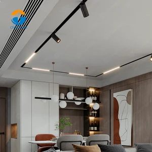 European Sale Slim Magnetic Track Light Wholesale Grille Spotlights Dc48v Dali 0-10v Dimming Magnet Rail Led Ceiling Track Light