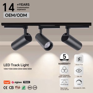 Ra90 High CRI 10W-35W Dimmable COB LED Track Light Aluminum Construction For Supermarket Hotel Use CE RoHS Certified Custom