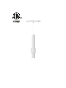 ETL CE Listed Modern LED DC48V 20 Magnetic Track Light Hanging Pendant Black White Finished 6W Embedded Rail Dimmable Spotlight