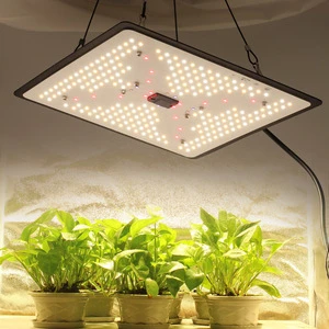 Full Spectrum Quantum LED Grow Light for Greenhouse Medical Plants 100W-600W Dimmable Bloom Application Aluminum Body IP65 Rated