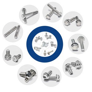 Factory Supply High Quality Bolt Nut M6 M8 M10 M12 SS 304 316 Stainless Steel Screws Fasteners