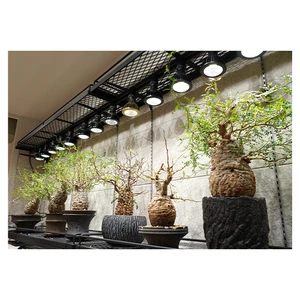 Top Class Bearable Quality Led Natural Color Rendering Plant Grow Light for Indoor