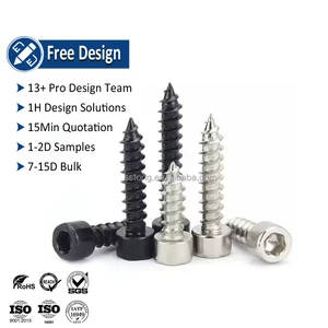 Self-tapping Screw and Bolt Brass Aluminum Titanium Stainless Steel Coarse Cylindrical Cap Hexagon Socket Self Tapping Screws