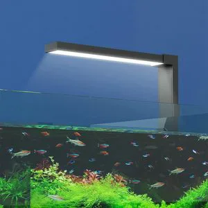 High Brightness Mini 5W LED Freshwater Fisn Tank Light Desktop Full Spectrum Aquatic Plant Aquarium Lamp Dual Mode
