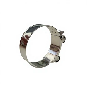 Stainless Steel & Galvanized Steel T-Bolt Hose Clamp Single Head Strong Heavy Duty Inch Metric Automotive Clamp