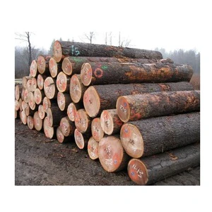 Oak Wood Timber Logs for Construction - Building, Framing, and Renovation