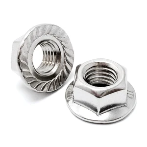 Best China Factory Large 12 Point Hexagon Flange Nut with Serrated