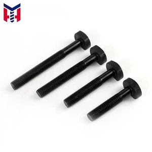Customized 304 Stainless Steel Carbon Steel Special T Type Head Bolts DIN Standard Plain Finish Hardware Fasteners