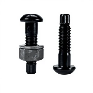 All Size Torsional Shear Bolts with Nut and Washer JSS II 09 GB3632 High Strength 10.9 Grade