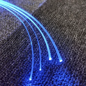0.75mm 1.0mm 1.5mm PMMA Fiber Optic End Light Cable with LED for Star Light Decorations
