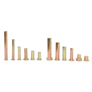 Carbon Steel Non-Standard Step Rivets & Hinge Pins Door Axle Pins Galvanized Finish 2.5-20mm Diameter
