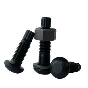 All Size Torsional Shear Bolts with Nut and Washer High Strength for Building 10.9 Grade GB3632