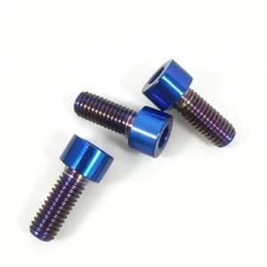 Titanium Alloy Hex Socket Screw Burned Blue Hexagon Allen Bolt Gr5 Titanium Bolt for Motorcycle Bicycle Auto Modification