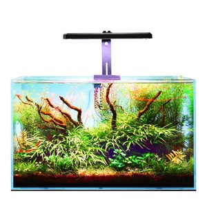 Smart Aquarium Lights WRGB Full Spectrum Intelligent LED Aquariums Lamp For Fish Tank Aquatic Plant Grow Light Accessories