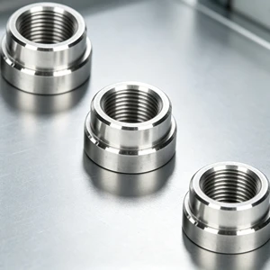 High Quality Stainless Steel Step Type Internal Thread Weld Bushing M18x1.5 Female Thread Weld On Insert Sleeve