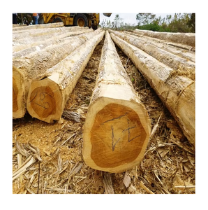 Natural Teak Wood Logs – Strong Hardwood Timber for Sawmill Processing and Industrial Applications
