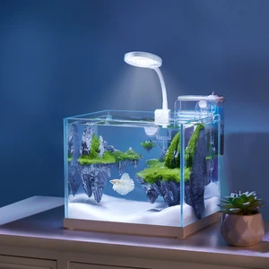 Yee Fish Tank Cleaning Glass Small Aquarium Starter Kit Tabletop Room Decoration With LED Light Trim And Whisper Filter