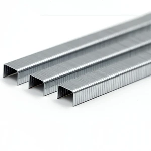 50/95 Series Staples 20 Gauge Color Steel Nails of 50 Series Standard Furniture Galvanized Staples Pins