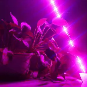 Plant Grow Light for Full Spectrum Indoor Plants Plant Growing Lamps for Seedlings, Brightness Settings