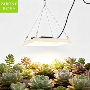 Full Spectrum IP65 Waterproof Plant Lamp for Indoor Succulent Veg Flower Seedling Horticulture Greenhouse LED Hanging Grow Light