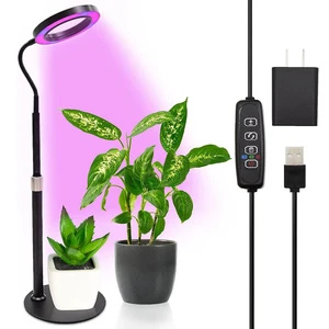 LED Plant Grow Lights Floor-Standing Full-Spectrum Indoor Lighting for Succulents Roses & Greenery
