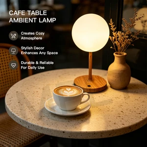 2026 New Design IP44 Waterproof LED Table Lamp - Rechargeable Aluminum Base Globe Light For Outdoor Indoor Use