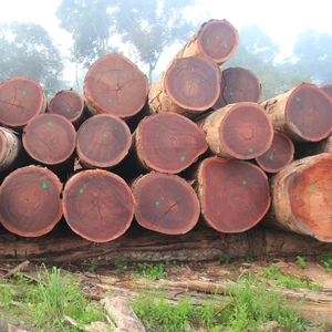 Sustainable European Redwood Logs for Luxury Decking Slicing Custom Cutting